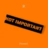 About Not Important Song